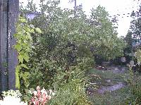 P1010001.JPG