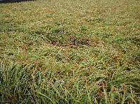 P1010005.JPG