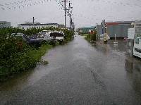 P1010007.JPG