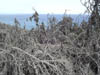 DSCF0011
