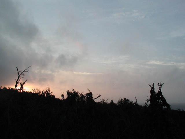 P1010003