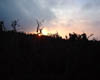 DSCF0002