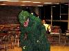 DSC00037.JPG