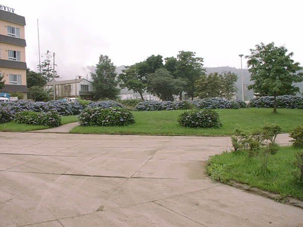 08060044